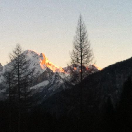 Appartamento Ivo Campitello di Fassa Exteriér fotografie
